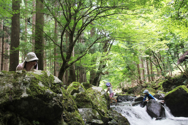 豊かな自然環境の中でのびのびと遊べる、鳥取の「森のようちえん」（提供：鳥取県 元気作り総本部 広報課）