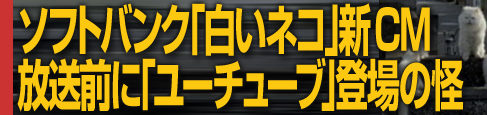 �����ݸ�����Ⱥ��VCM�@�����O�ɢհ����ޣ�o��̉�