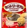 「カントリーマアム＜味噌キャラメル＞」