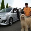 愛犬との試乗会も
