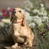 愛犬とともにハウステンボスを散策しよう