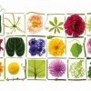 「マミフラワーデザイン展2013『花、ディスカヴァリー』」
