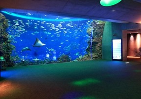 夜の水族館で大人のひとときを