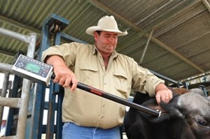 輸入牛肉No.1のオージー・ビーフ 「安全管理」の徹底が評価される