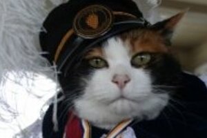 課長職から執行役員に昇格  猫駅長「たま」スピード出世