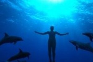 「隠し撮り」アカデミー賞映画ベースに　「反イルカ漁」テレビ番組も決定？