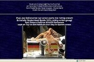 単なる偶然か「人為的」なのか　W杯予言タコに「死の脅迫」　