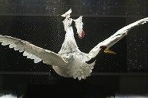 小林幸子の紅白衣装　「巨大鶴」にAKB48びっくり