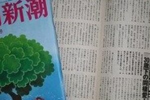 筒井副大臣「不倫」に変な言い訳 「目が悪いから腕を組んで歩いた」