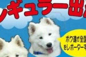 人気犬ジッペイ声帯手術に批判　提供元「出演目的の切除でない」
