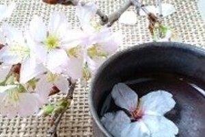 「お酒を飲んで花見をしてください」 岩手、宮城、福島の蔵元がアピール