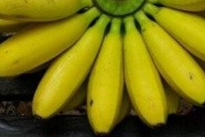 中国捨てて日本取った？　フィリピンがバナナ大量輸出