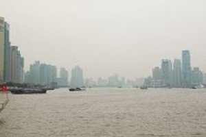 中国「豚の大量死骸」は感染源でないのか　急拡大「新型」鳥インフルエンザが不気味だ