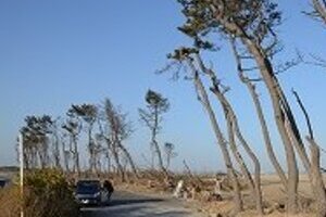 数か月以内に福島沖で「アウターライズ地震」の可能性　最大10メートル級津波がやってくる