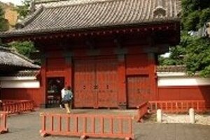 関テレ、東大女子に胸のサイズ聞いて回っていた　巨乳の方が知能指数が高いという研究結果の影響調べる企画だった！