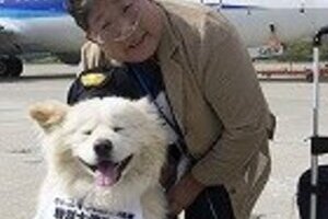 ブサカワイイ「わさお」復活　ふさふさの毛が戻る