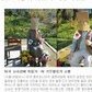 米国の慰安婦像「侮辱」に韓国激怒　日本に好意的な米国人が顔に紙袋かぶせる