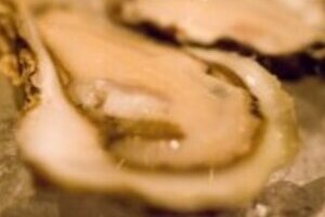 張本勲の喝！「サッカーチームは横文字多すぎ」にネット逆襲　「野球の方がカタカナばかりじゃないか」