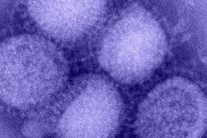 油断するな、今年のインフルエンザ　タミフルが効かない耐性ウイルスや、鳥インフル…