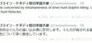 ケネディ氏「イルカ漁は非人道的」に反発の声　安倍首相Facebookにも飛び火、盛り上がる