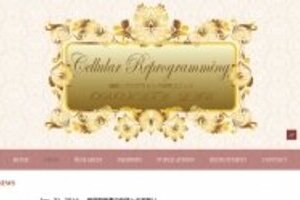 取材過熱で周囲に迷惑、ウソ報道も　小保方さん「報道関係者へのお願い」にネットで同情の声