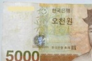 セウォル号事故、韓国経済に打撃　「消費自粛」が長期化すると…