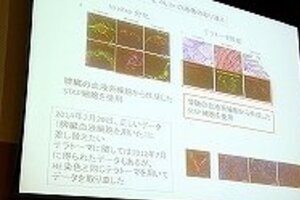 小保方氏「実験用マウス」購入記録なし報道　毎日新聞「特ダネ」は根拠あるのか