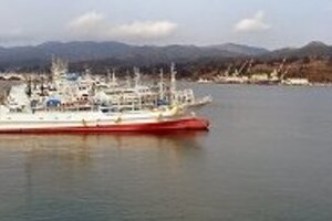 「残酷なフカヒレ漁反対」で気仙沼が心配　寄付先「反サメ漁団体」は大丈夫か