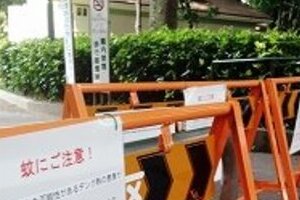 都内に来ていない千葉市男性、デング熱感染　全国的流行の可能性も？不安募る