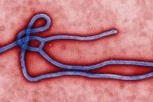 インド旅行中の日本人女性がエボラ感染？　現地紙が大々的に報道、今のところ「陰性」だが...