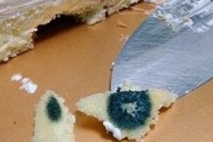 「誕生祝いケーキにカビ」「コンビニサラダにバッタ」　「ペヤング」きっかけにツイッターで異物報告が続々