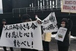 諏訪大社カエル串刺し神事に抗議　動物愛護団体「許すことのできない残虐行為」