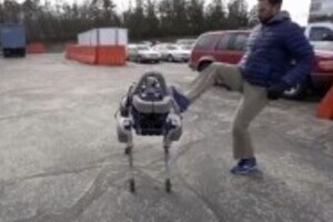 「ロボット犬」蹴り飛ばすのは虐待!?　 「ドラえもん」も巻き込み議論が白熱