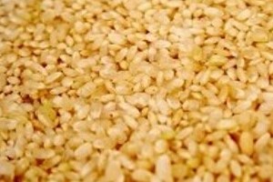 あの戸田奈津子が迷訳　英語の玄米を「茶色い米」