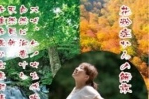 杉を伐採、広葉樹を育てる運動が「苦戦中」　宮崎県の任意団体「花粉症撲滅センター」に寄付金集まらず