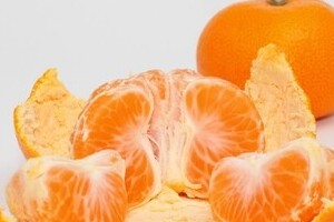 花粉症対策にミカンの皮とヨーグルト　学会で研究発表、新メニューも誕生