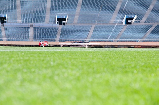 故意か偶然か（画像はイメージ）