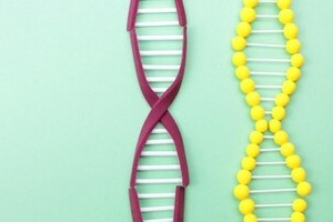 遺伝子治療に実用化の期待　セミナーで最新動向が紹介される