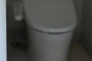 「トイレが臭い」と夫を刺した妻　「消臭スプレー使え」「神経質すぎる」と議論が