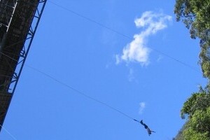 バンジージャンプできなかったアイドルを叩きまくる　14歳にこれほど「プロ意識」を求めるなんて...