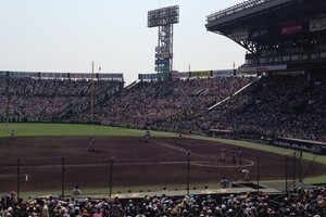 甲子園バックネット裏を独占する「私設応援団」への抗議署名始まる　自由席なのに占拠、ほかにも迷惑行為の数々を「告発」