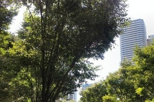 人気の街「武蔵小杉」を襲う落下物騒動　住民からは資産価値「下落」の懸念も