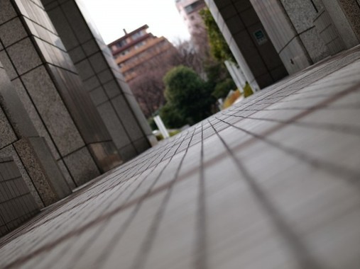 最新のhd鬼怒川 決壊 白い 家 最高の花の画像