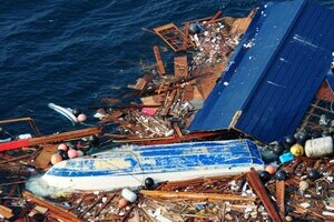 東日本大震災で助かった奇跡の「漂流犬」亡くなっていた　「民家の屋上」で救助された3年後に事故、ネット上で哀悼の声