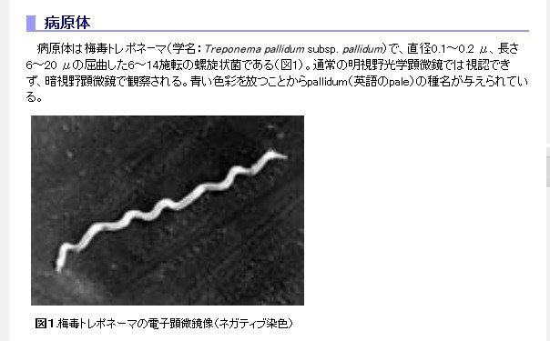 若い女性などに「梅毒」が増えている！（写真は、国立感染症研究所のホームページのスクリーンショット）