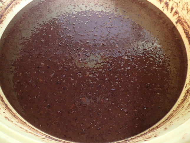 9か月後にはほぼ液体状に。「絞り」の工程を経てイナゴソースが完成