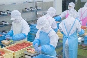 「最低賃金が可能」「残業、休日出勤は喜んで！」　外国人実習生に関するFAXが舞い込んできた