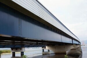 「そうか、あかんか」認知症母殺人心中未遂　息子「後追い自殺」報道にネット「心が痛い」と衝撃