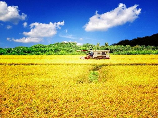 TPPの農業試算が甘いのは、だれの目にも明らか