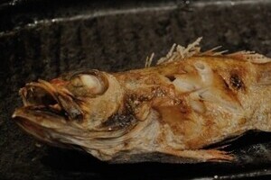 錦織発言で高級魚「ノドグロ」枯渇の恐れ　島根県、3月から新たな「禁漁区」
